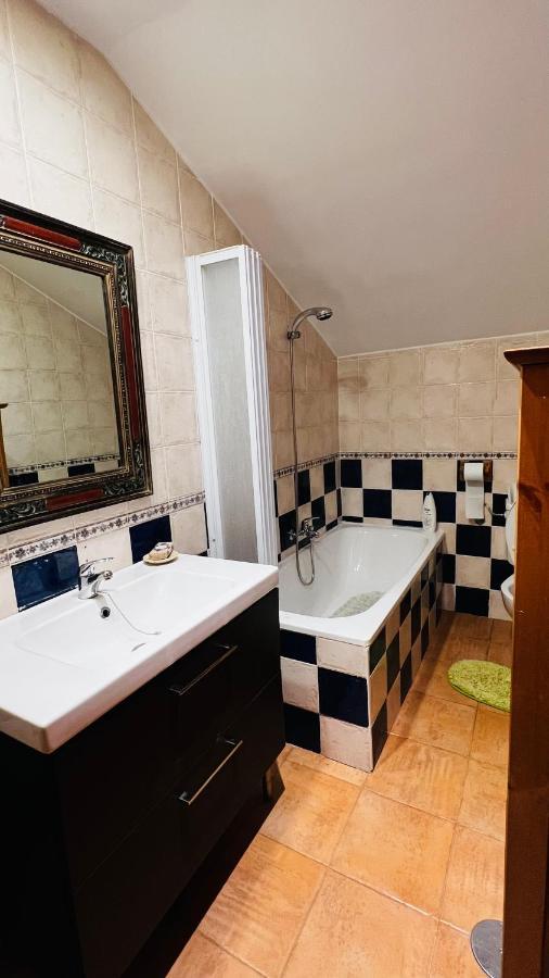 Casa Simona Homestay